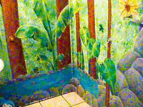 creek