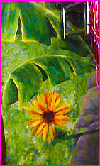 flower wall mural