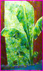 painting on door