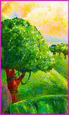 tree orange cloudst