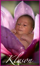 flower baby newborn